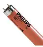 Philips MASTER TL-D 36W - Red | 120cm