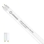Ledvance LED Tube T8 Superior (EM/Mains) High Output 17.7W 3100lm - 865 Daylight | 150cm - Replaces 58W